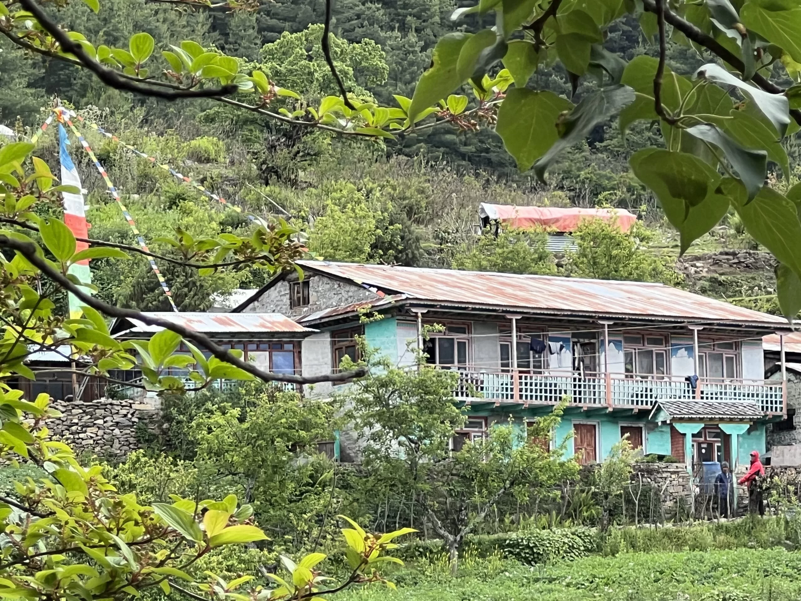 Gyalbo Guest House - Main House